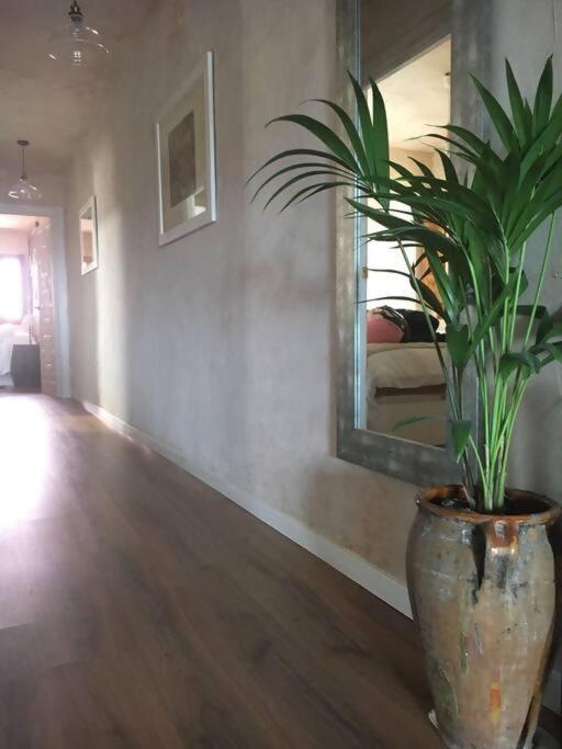 Luxury Danna Plaza Mayor Κουένκα Εξωτερικό φωτογραφία