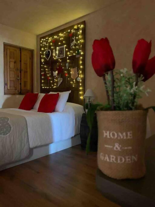 Luxury Danna Plaza Mayor Κουένκα Εξωτερικό φωτογραφία